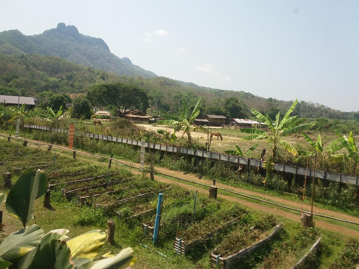 Him Doy Muang Pan Resort ฮิมดอยเมืองปานรีสอร์ท Ban Sop Pan エクステリア 写真